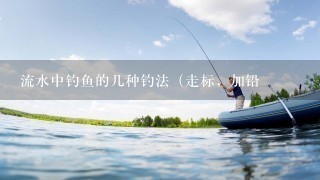 流水中钓鱼的几种钓法（走标，加铅