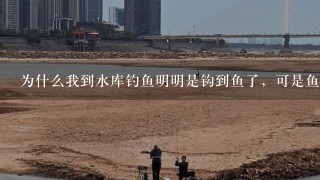 为什么我到水库钓鱼明明是钩到鱼了，可是鱼到水里面挣扎了几下就跑了，有时候都拉出水面来了，怎么老是会跑掉