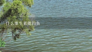 什么维生素能钓鱼