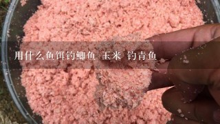 用什么鱼饵钓鲫鱼 玉米 钓青鱼