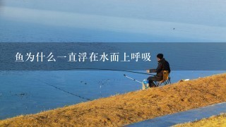 鱼为什么1直浮在水面上呼吸