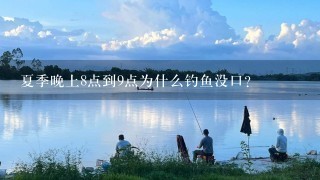 夏季晚上8点到9点为什么钓鱼没口？