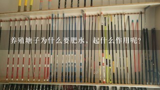 养殖塘子为什么要肥水，起什么作用呢？