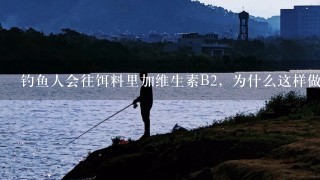 钓鱼人会往饵料里加维生素B2，为什么这样做？有什么