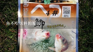 鱼不吃饵料的原因