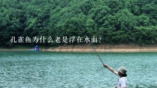 孔雀鱼为什么老是浮在水面？