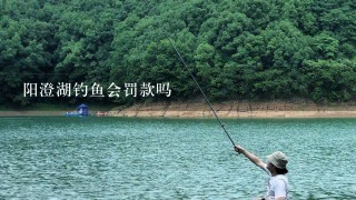 阳澄湖钓鱼会罚款吗