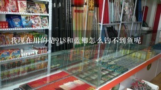 我现在用的是918和蓝鲫怎么钓不到鱼呢