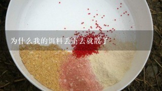 为什么我的饵料丢下去就散了