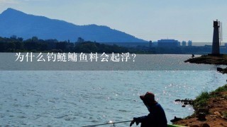 为什么钓鲢鳙鱼料会起浮？