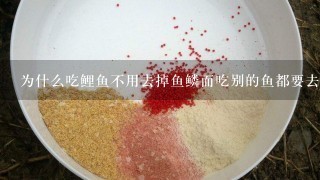 为什么吃鲤鱼不用去掉鱼鳞而吃别的鱼都要去掉鱼鳞？