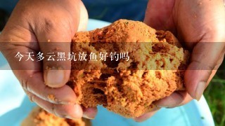 今天多云黑坑放鱼好钓吗