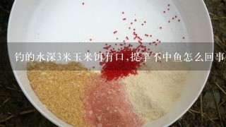 钓的水深3米玉米饵有口,提竿不中鱼怎么回事？