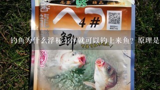 钓鱼为什么浮标上浮就可以钓上来鱼？原理是什么？