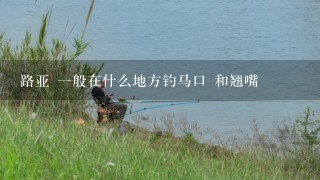 路亚 1般在什么地方钓马口 和翘嘴