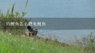 钓鲤鱼怎么避免鲢鱼