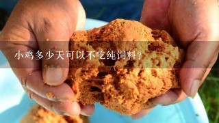 小鸡多少天可以不吃纯饲料？