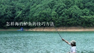 怎样海钓鲈鱼的技巧方法