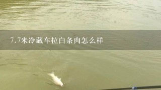 7.7米冷藏车拉白条肉怎么样