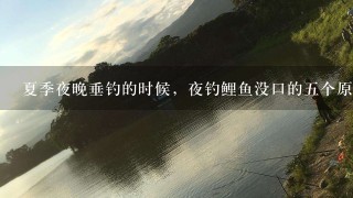 夏季夜晚垂钓的时候，夜钓鲤鱼没口的5个原因是什么