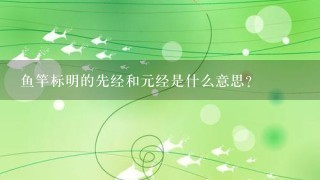 鱼竿标明的先经和元经是什么意思？