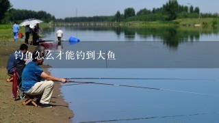 钓鱼怎么才能钓到大鱼