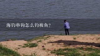 海钓串钩怎么钓梭鱼？