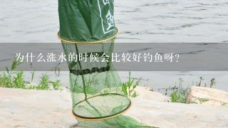 为什么涨水的时候会比较好钓鱼呀？