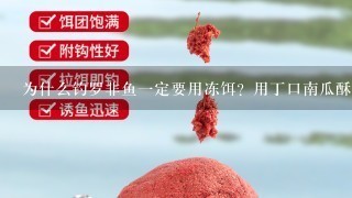 为什么钓罗非鱼1定要用冻饵？用丁口南瓜酥效果怎么