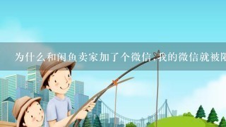 为什么和闲鱼卖家加了个微信,我的微信就被限制了