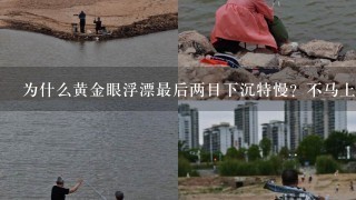 为什么黄金眼浮漂最后两目下沉特慢？不马上下沉到钓目？