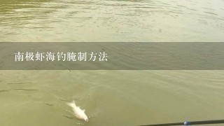 南极虾海钓腌制方法