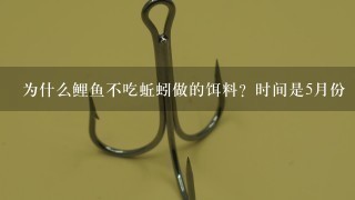 为什么鲤鱼不吃蚯蚓做的饵料？时间是5月份（离端午节还有半个月左右）？