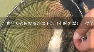 我今天钓鱼发现浮漂下沉（有时黑漂），提竿，但不见鱼上钩，请教高手是何原因？