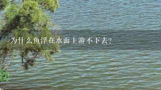 为什么鱼浮在水面上游不下去？