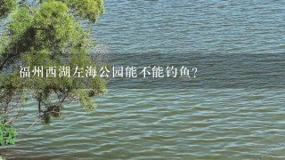 福州西湖左海公园能不能钓鱼？