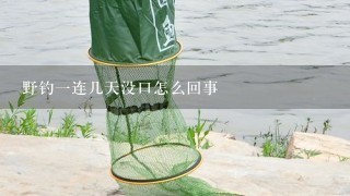 野钓1连几天没口怎么回事