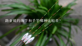 路亚矶钓海竿和手竿哪种比较贵？