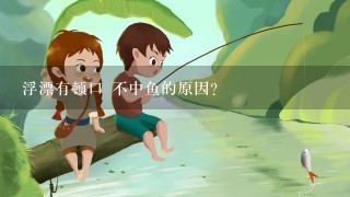 浮漂有顿口 不中鱼的原因？