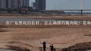 在广东黑坑钓长杆，怎么调漂钓脆肉皖？是和钓黑皖1样调漂法还是怎么？