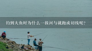 钓到大鱼时为什么1拔河与就跑或切线呢？