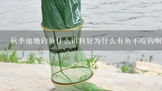 秋季池塘钓鱼什么饵料好为什么有鱼不咬钩啊