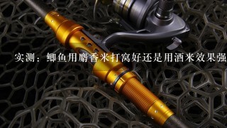 实测：鲫鱼用麝香米打窝好还是用酒米效果强