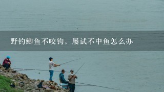 野钓鲫鱼不咬钩，屡试不中鱼怎么办