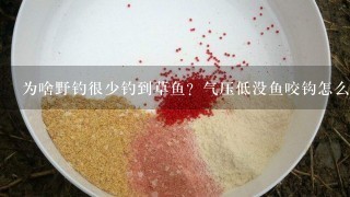 为啥野钓很少钓到草鱼？气压低没鱼咬钩怎么办？