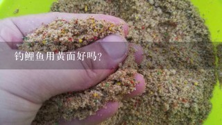 钓鲤鱼用黄面好吗？