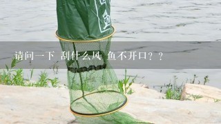 请问1下 刮什么风 鱼不开口？？