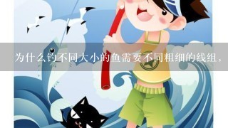 为什么钓不同大小的鱼需要不同粗细的线组，是因为粗