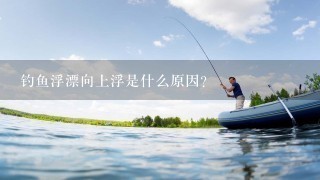 钓鱼浮漂向上浮是什么原因？