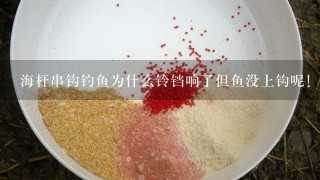 海杆串钩钓鱼为什么铃铛响了但鱼没上钩呢!